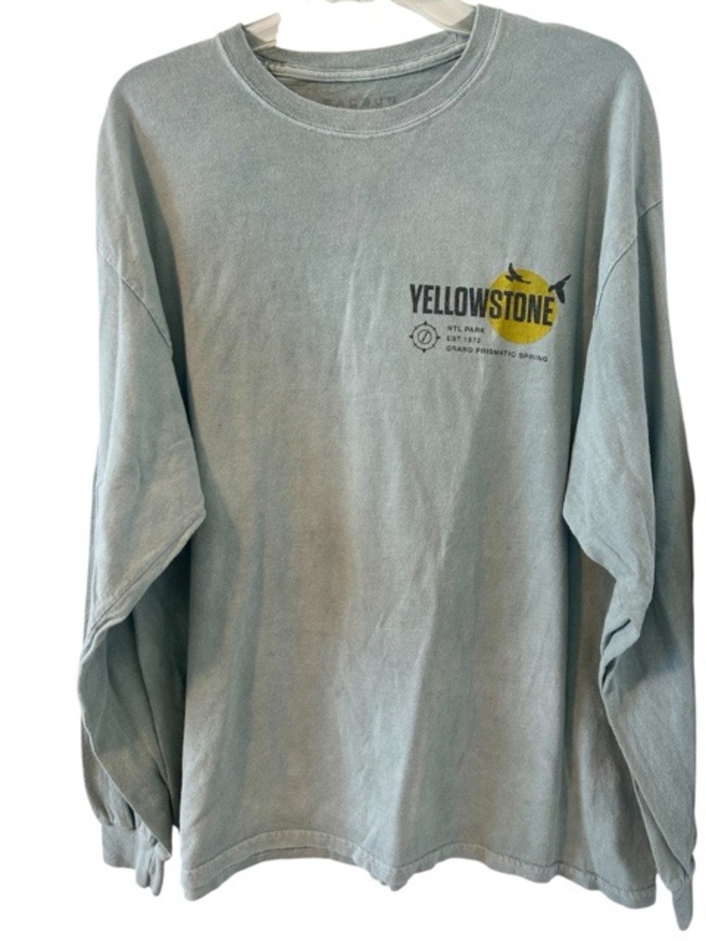 PacSun Yellowstone Vintage Soft Heather Sage Long Sleeve Tee